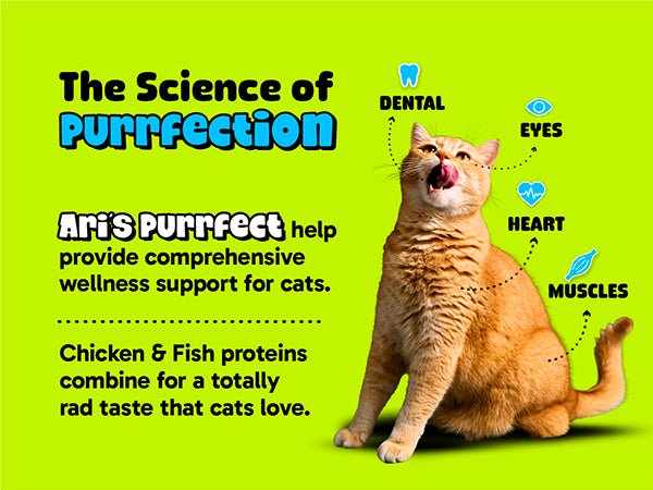 Dental Bites Supplement